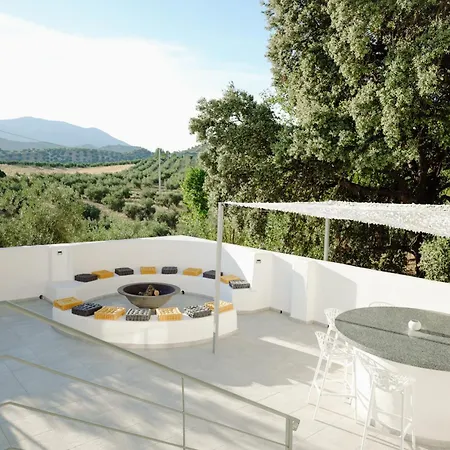Valle De Olivos * Algarinejo