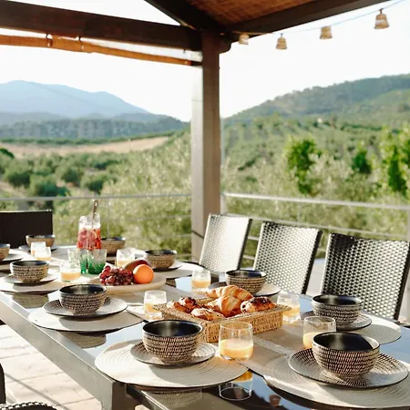 Villa Valle De Olivos